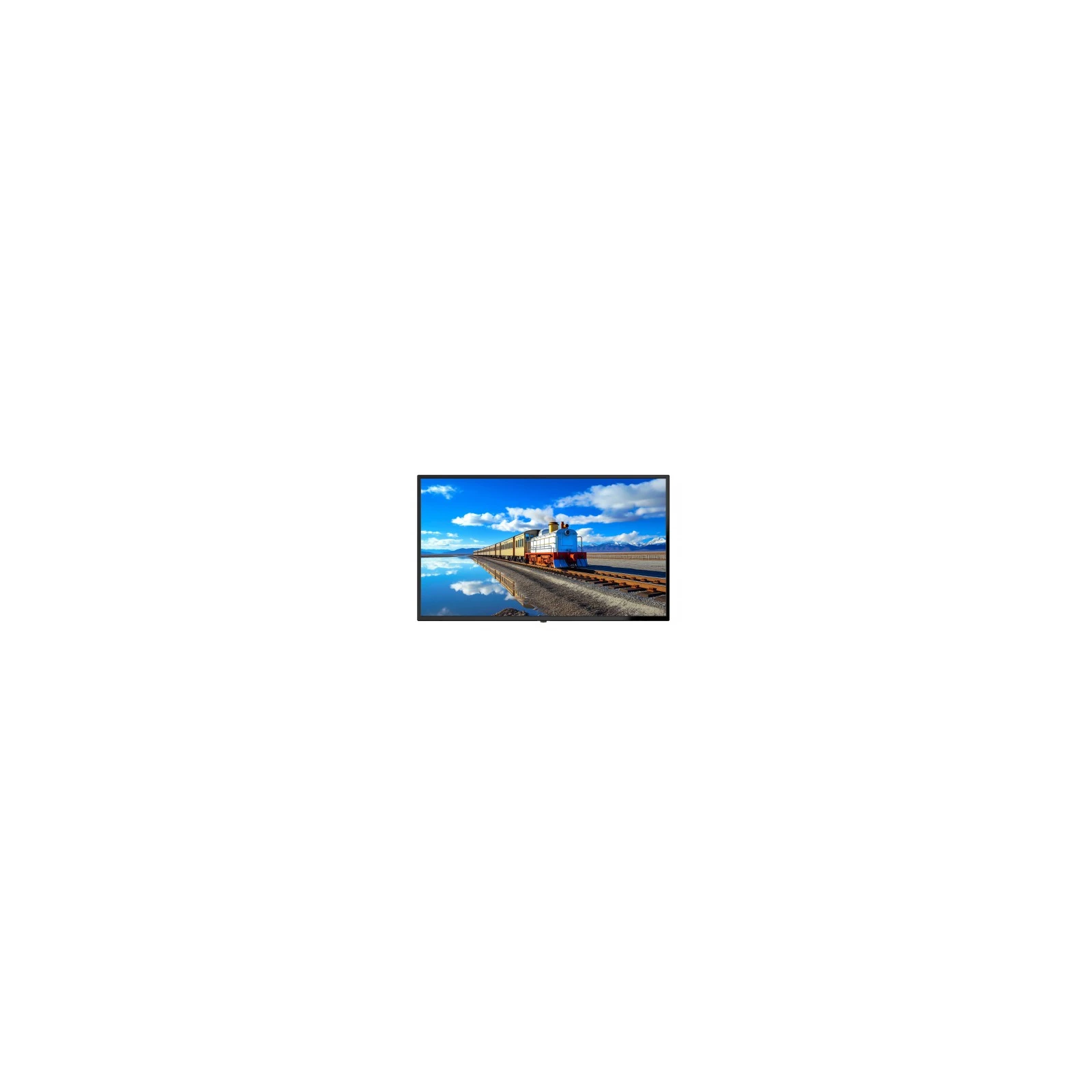 Monitor LCD Digital Signage 43 inch 4K LDH43-LAI400L