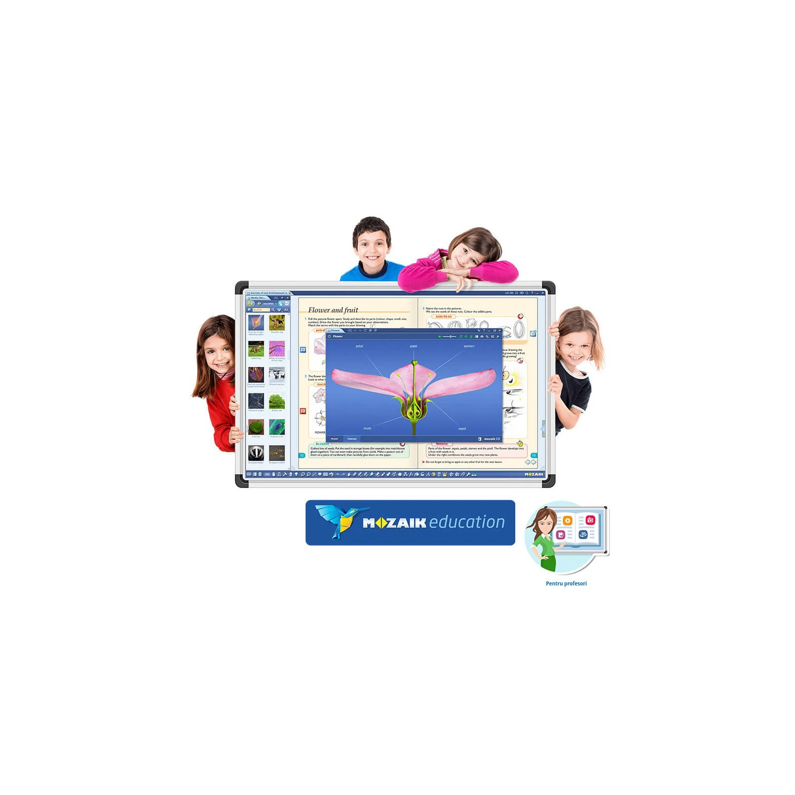 Software Mozaik Teacher , lectii interactive in timp real, licenta 1 / 1 an