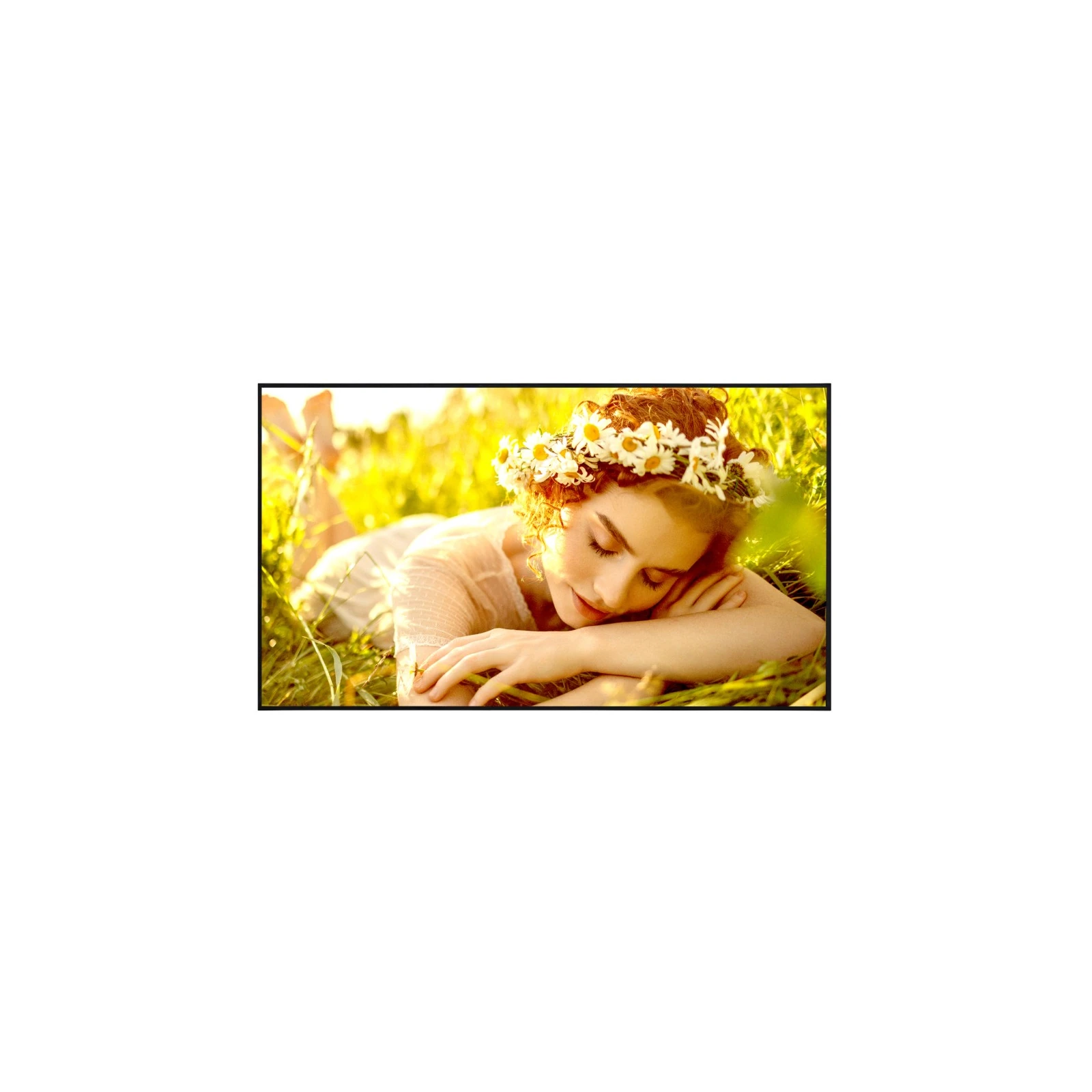 Display profesional 50", LG 50UL5Q-E, UHD 3840 x 2160, 500 cd/m², 24/7