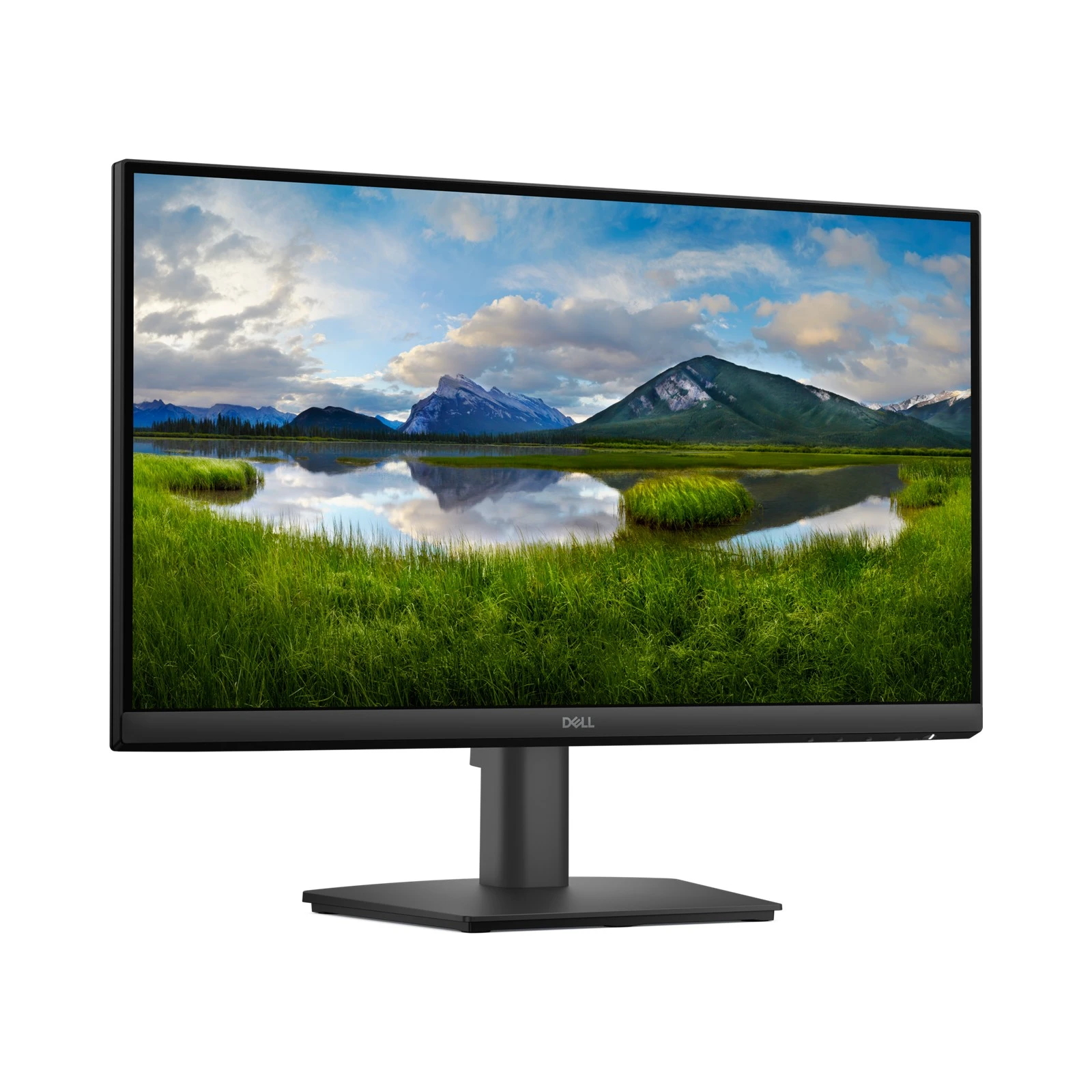 MON DELL Pro 22 Monitor E2225HM BLACK S