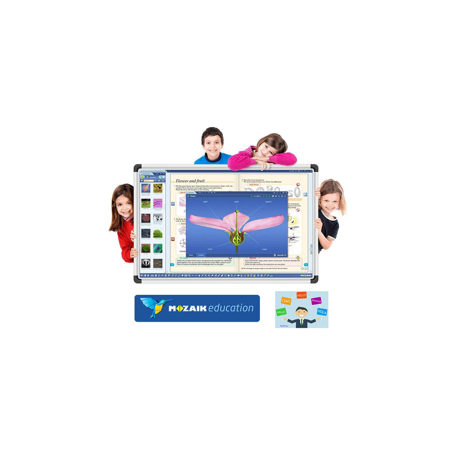 Software Mozabook MULTILANG , lectii interactive in timp real, licenta 1 / 1 an