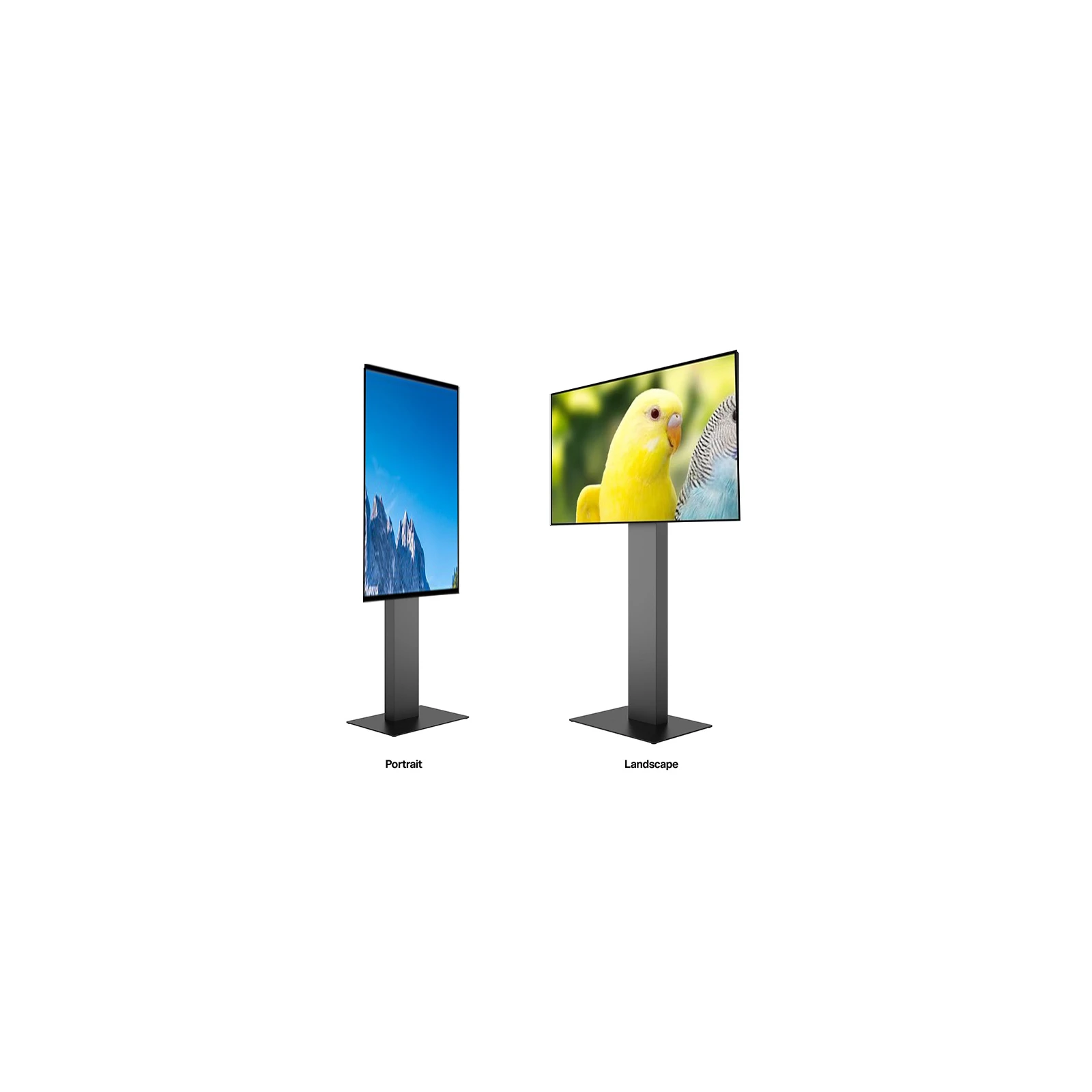 Kiosk / Totem Indoor Touch 50''  Android11 -  Display touch 50",4K, JG-03-IR50 + Multibrackets MB-7357