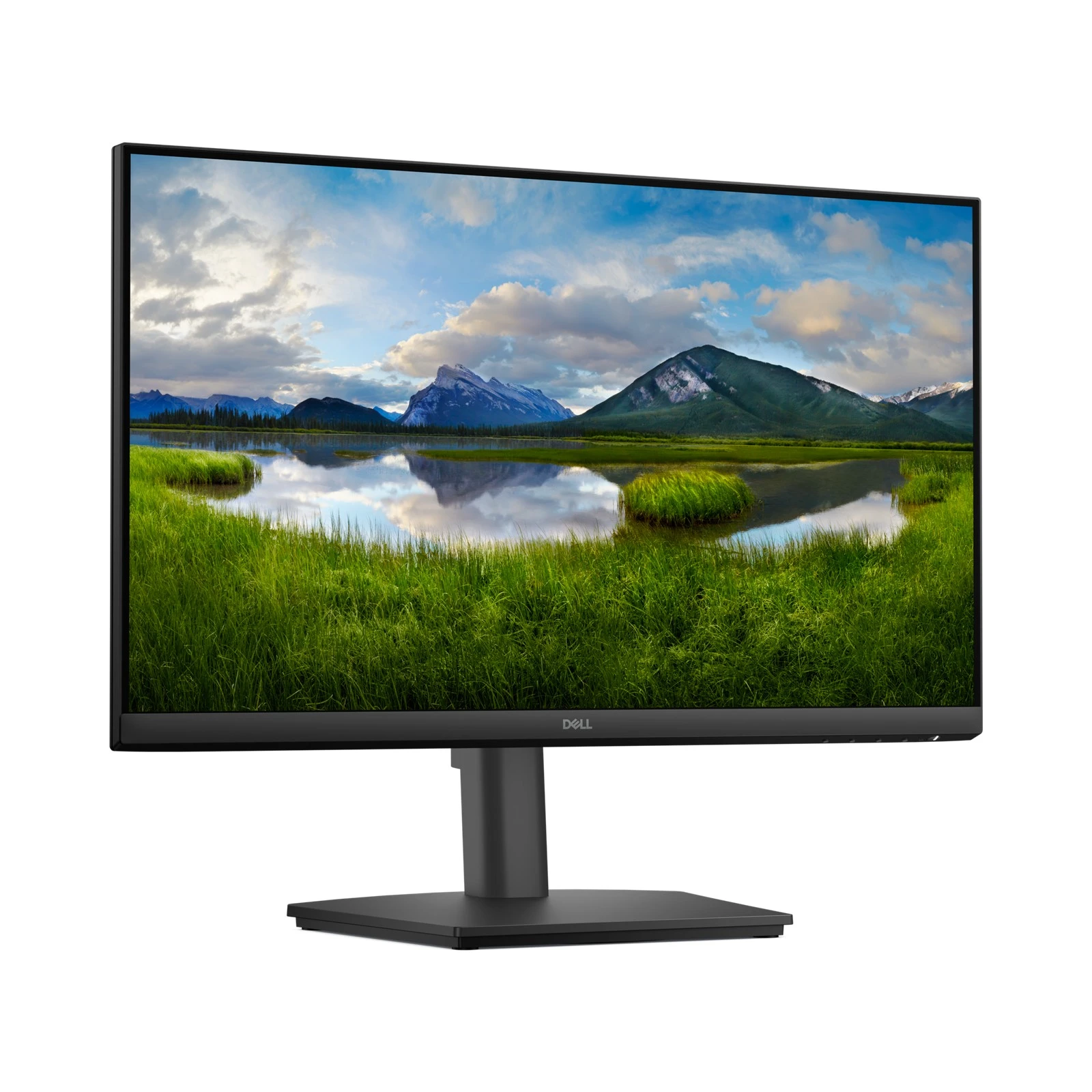 DELL PRO 24 MON E2425HSM S