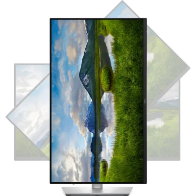 DELL PRO 24 PLUS QHD USB-C MON P2425DE S