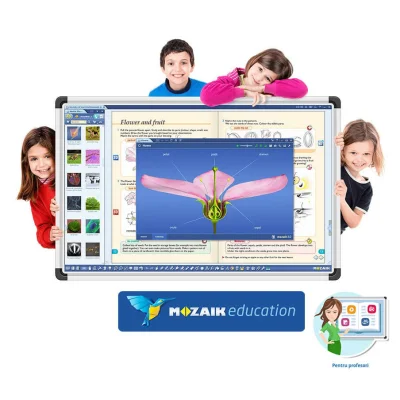Software Mozaik Teacher , lectii interactive in timp real, licenta 1 / 4 ani