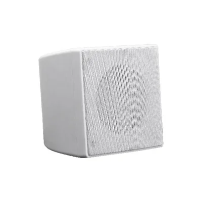 Difuzor de perete coaxial, 4", 20W, 100V, DSPPA DSP402W, alb