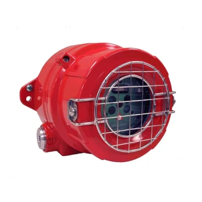 DETECTOR FLACARA