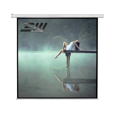 Ecran proiectie electric perete/tavan Blackmount, marime vizibila 300cm x 300 cm, cu telecomanda, Format 1:1