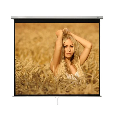 Ecran proiectie manual, perete/tavan, 240 x 240 cm, Blackmount, Format 1:1