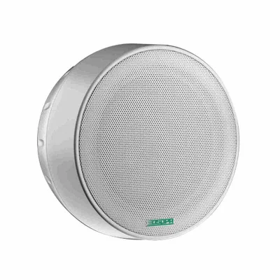 Boxa cu montaj aparent pe tavan 6W DSPPA DSP5311, 6.5", 100V, Alb