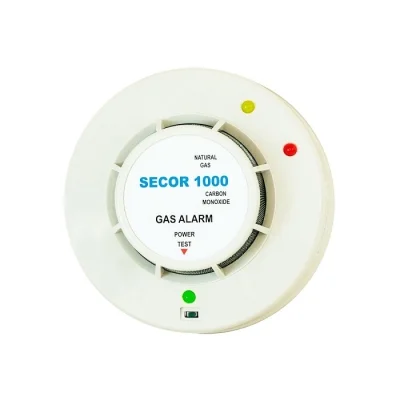 DETECTOR DE GAZ METAN SI MONOXID DE CARBON 220V