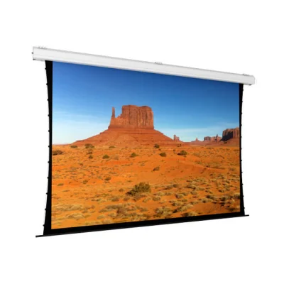 Ecran proiectie electric profesional, tavan, 450 x 337 / 450 x 253 / 450 x 281 cm, Tensionat, Major PRO-C